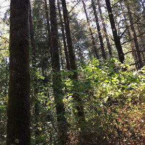 Meet your Posher, Callie